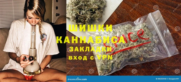 тгк Каменногорск