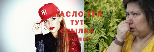 тгк Каменногорск