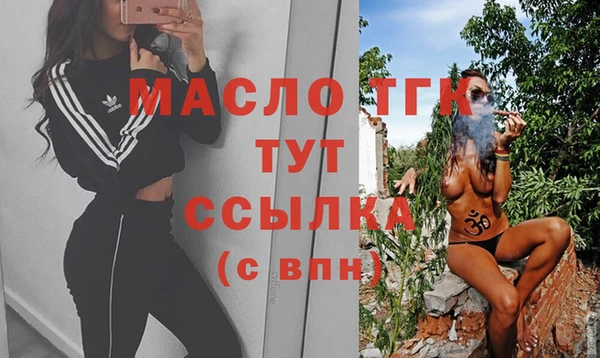 тгк Каменногорск