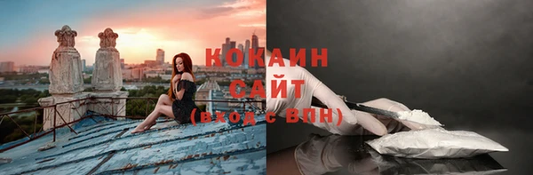 тгк Каменногорск