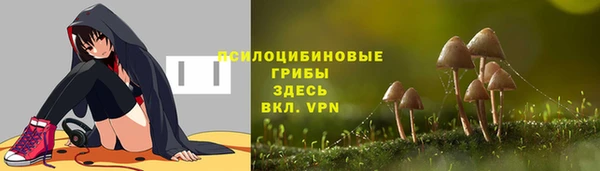 героин Каменка