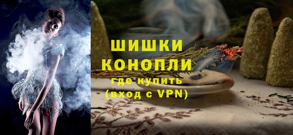 тгк Каменногорск