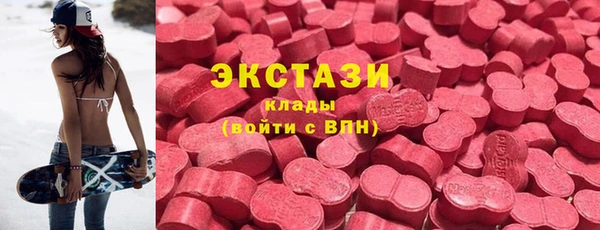 тгк Каменногорск