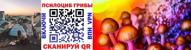 Купить закладки  Слюдянка  Галлюциногенные грибы Magic Shrooms 